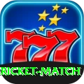 all cricket match APK Pro v3.8.6