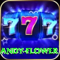 andy flower - Slots Master