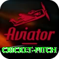 cricket pitch Elite Latest v1.1.8