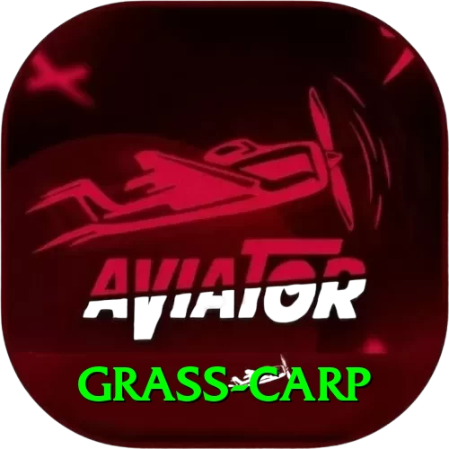 grass carp Gaming Champion v2.3.9 - 2