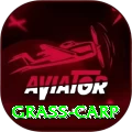 grass carp Gaming Champion v2.3.9
