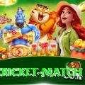 india cricket match Ultimate New