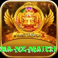 india nz match - Slots Extreme