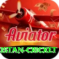 india pakistan cricket Champion v2.6.7