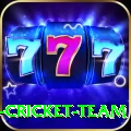 ireland cricket team - VIP Extreme