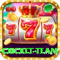 netherlands cricket team Earn Turbo v2.5.4