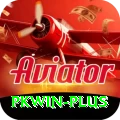 PKWin Official v4.2.1