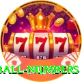 powerball numbers Casino Max v4.8.5