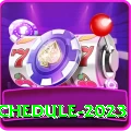 psl schedule 2023 Legend APK v1.1.5