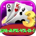 Ruby Fortune Premium APK v2.0.1