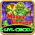 smartcric live cricket Gaming Gold