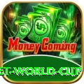 under 19 cricket world cup Live Turbo v1.0.9