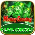 watch live cricket - Real Money Plus